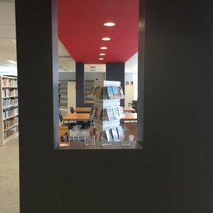 Bibliothèque municipale-scolaire de Daveluyville