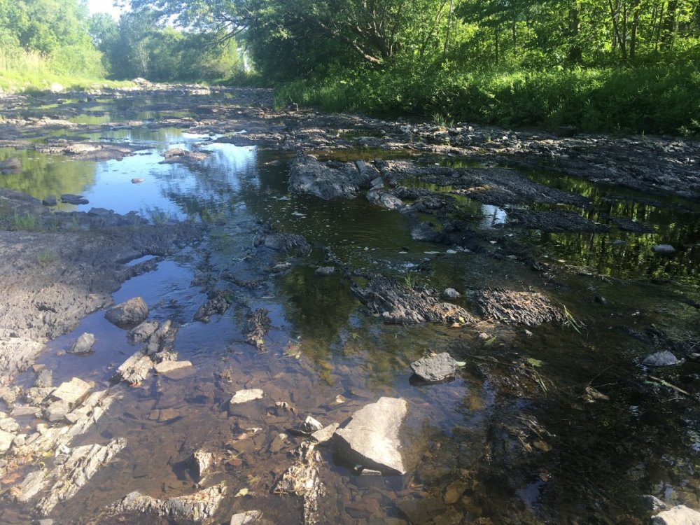 Analyse de la vulnérabilité de la source pour le prélèvement d'eau de surface