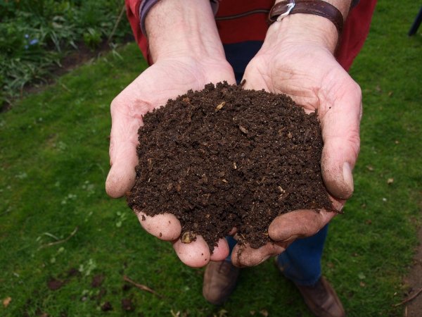 Distribution de compost